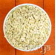Muskmelon Seeds - Healthy Muskmelon Seeds